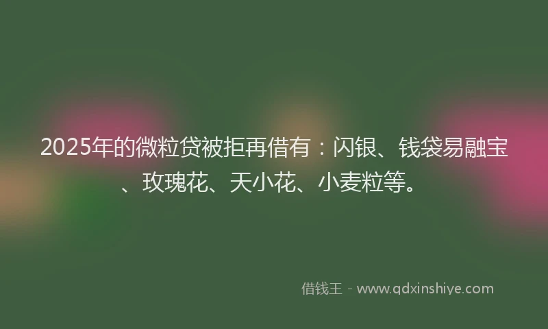 2025年的微粒贷被拒再借有：闪银、钱袋易融宝、玫瑰花、天小花、小麦粒等。