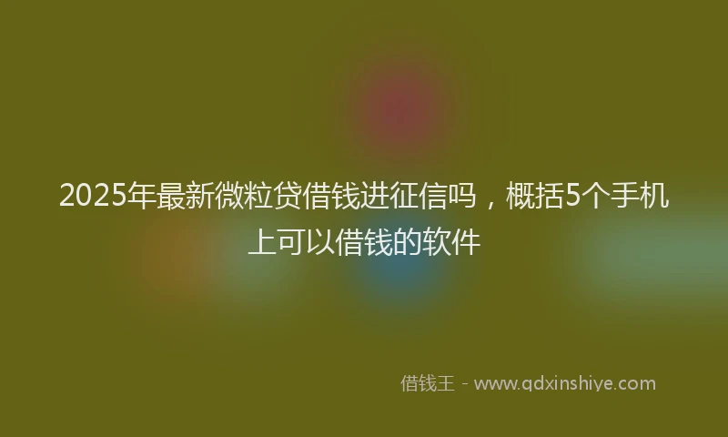 2025年最新微粒贷借钱进征信吗，概括5个手机上可以借钱的软件