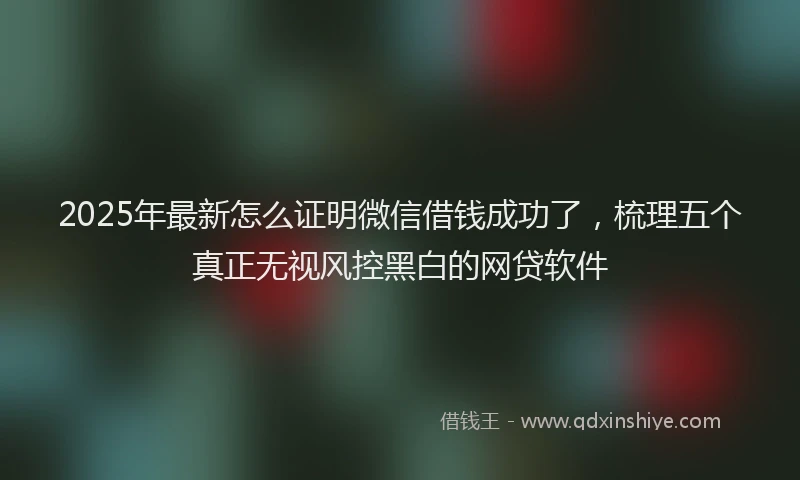 2025年最新怎么证明微信借钱成功了，梳理五个真正无视风控黑白的网贷软件
