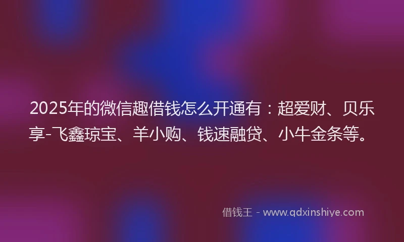 2025年的微信趣借钱怎么开通有：超爱财、贝乐享-飞鑫琼宝、羊小购、钱速融贷、小牛金条等。