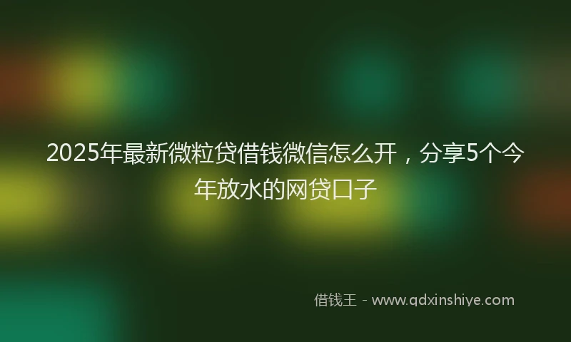 2025年最新微粒贷借钱微信怎么开，分享5个今年放水的网贷口子