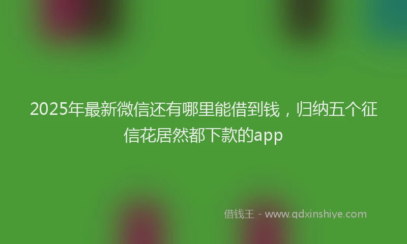 2025年最新微信还有哪里能借到钱，归纳五个征信花居然都下款的app
