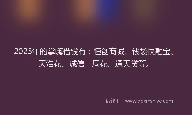 2025年的掌嗨借钱有：恒创商城、钱袋快融宝、天浩花、诚信一周花、通天贷等。
