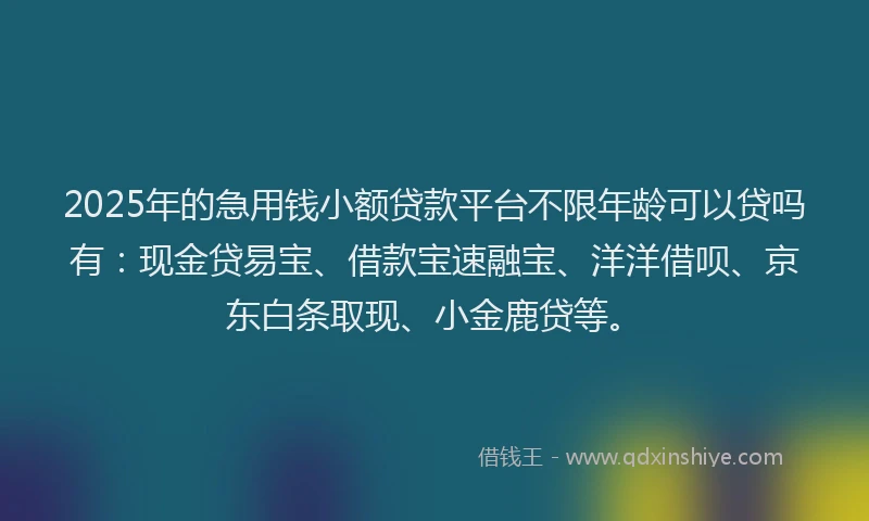 2025年的急用钱小额贷款平台不限年龄可以贷吗有：现金贷易宝、借款宝速融宝、洋洋借呗、京东白条取现、小金鹿贷等。