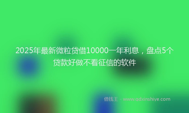 2025年最新微粒贷借10000一年利息，盘点5个贷款好做不看征信的软件