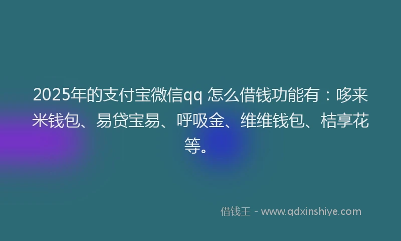 2025年的支付宝微信qq 怎么借钱功能有：哆来米钱包、易贷宝易、呼吸金、维维钱包、桔享花等。
