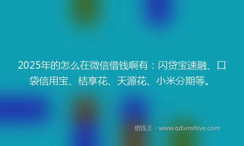 2025年的怎么在微信借钱啊有：闪贷宝速融、口袋信用宝、桔享花、天源花、小米分期等。