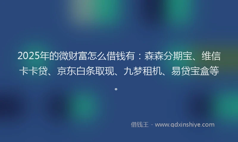 2025年的微财富怎么借钱有：森森分期宝、维信卡卡贷、京东白条取现、九梦租机、易贷宝盒等。
