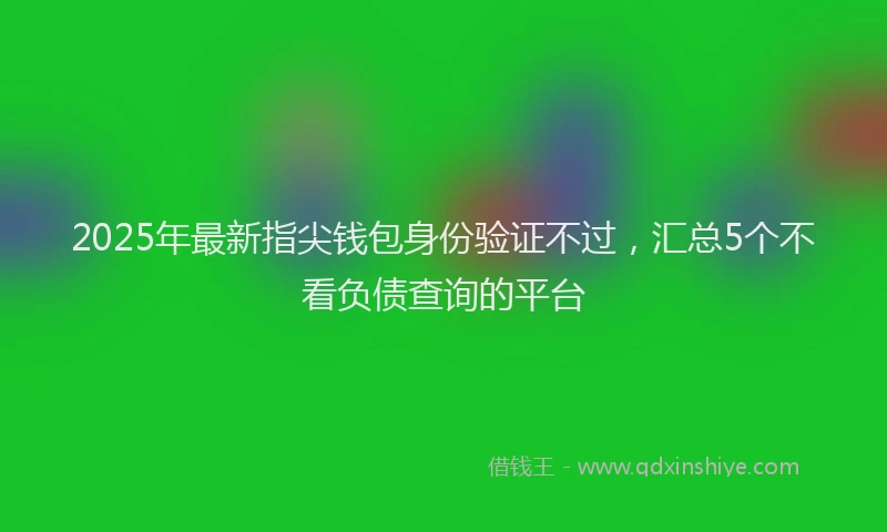 2025年最新指尖钱包身份验证不过，汇总5个不看负债查询的平台