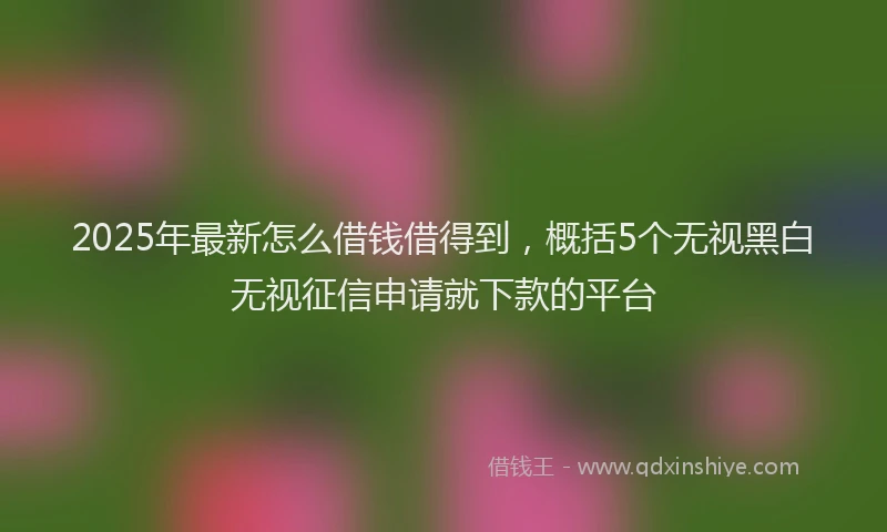 2025年最新怎么借钱借得到，概括5个无视黑白无视征信申请就下款的平台