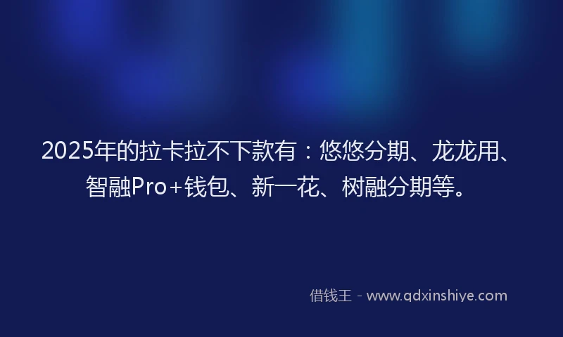 2025年的拉卡拉不下款有：悠悠分期、龙龙用、智融Pro+钱包、新一花、树融分期等。
