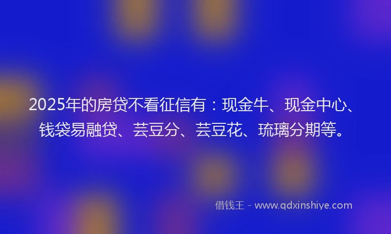 2025年的房贷不看征信有：现金牛、现金中心、钱袋易融贷、芸豆分、芸豆花、琉璃分期等。