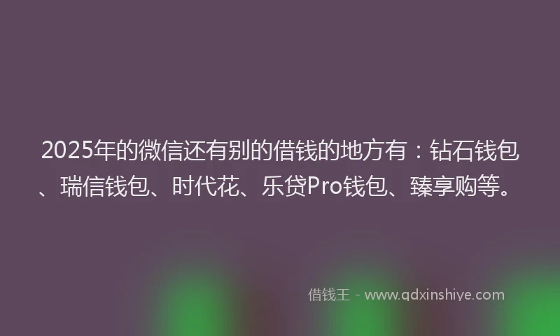 2025年的微信还有别的借钱的地方有：钻石钱包、瑞信钱包、时代花、乐贷Pro钱包、臻享购等。