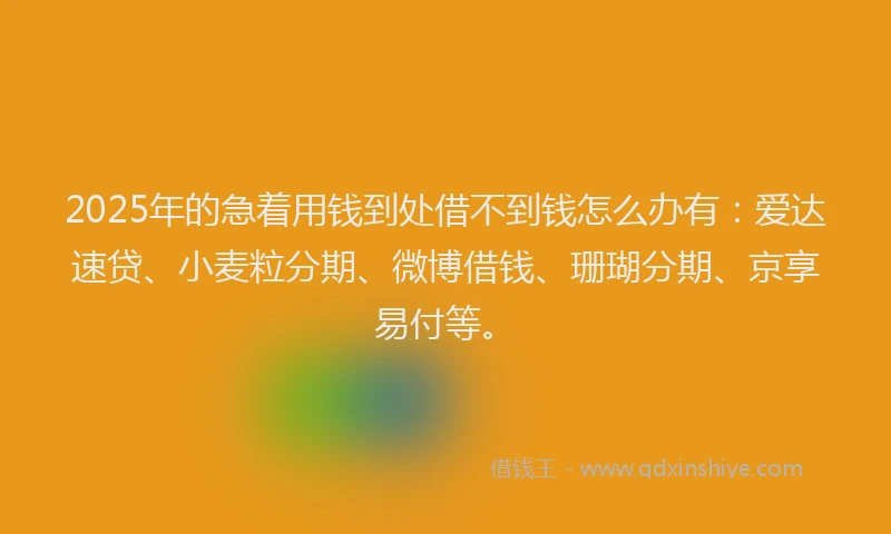 2025年的急着用钱到处借不到钱怎么办有：爱达速贷、小麦粒分期、微博借钱、珊瑚分期、京享易付等。