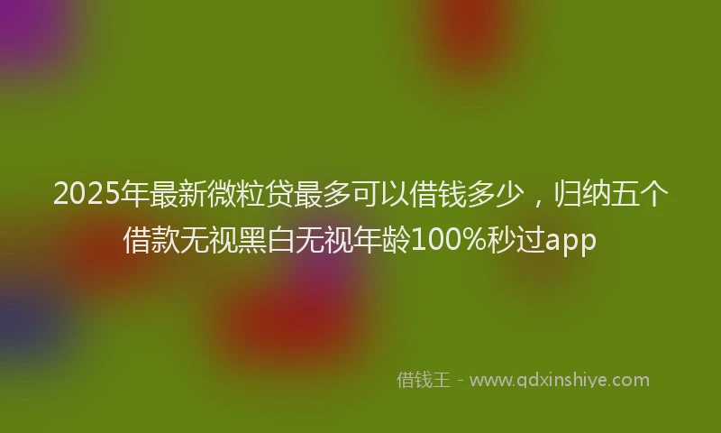 2025年最新微粒贷最多可以借钱多少，归纳五个借款无视黑白无视年龄100%秒过app