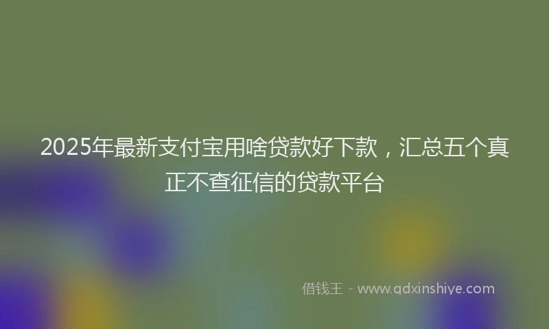 2025年最新支付宝用啥贷款好下款，汇总五个真正不查征信的贷款平台