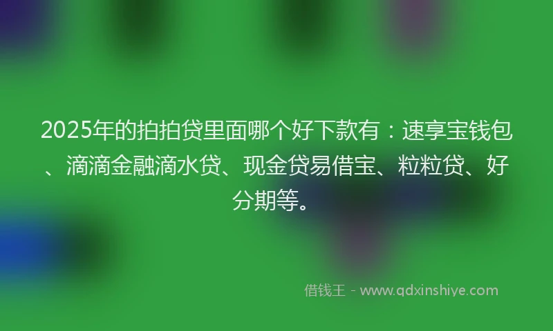 2025年的拍拍贷里面哪个好下款有：速享宝钱包、滴滴金融滴水贷、现金贷易借宝、粒粒贷、好分期等。