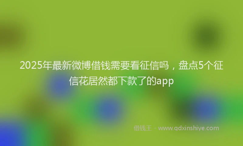2025年最新微博借钱需要看征信吗，盘点5个征信花居然都下款了的app