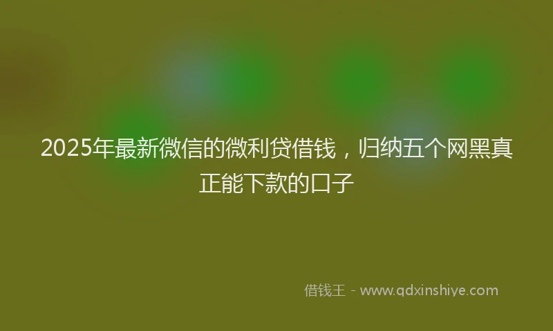 2025年最新微信的微利贷借钱，归纳五个网黑真正能下款的口子