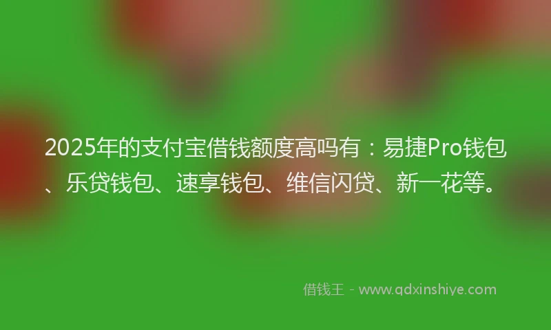 2025年的支付宝借钱额度高吗有：易捷Pro钱包、乐贷钱包、速享钱包、维信闪贷、新一花等。