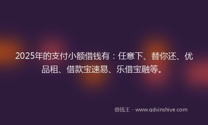 2025年的支付小额借钱有：任意下、替你还、优品租、借款宝速易、乐借宝融等。