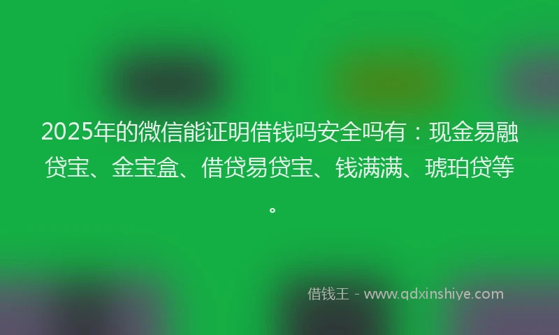2025年的微信能证明借钱吗安全吗有：现金易融贷宝、金宝盒、借贷易贷宝、钱满满、琥珀贷等。