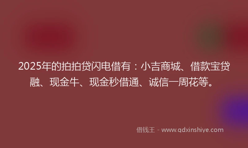 2025年的拍拍贷闪电借有：小吉商城、借款宝贷融、现金牛、现金秒借通、诚信一周花等。