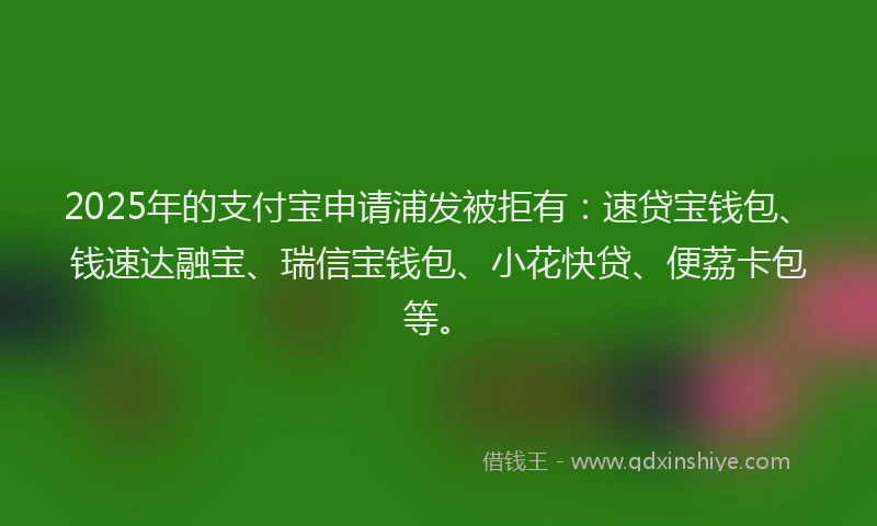2025年的支付宝申请浦发被拒有：速贷宝钱包、钱速达融宝、瑞信宝钱包、小花快贷、便荔卡包等。