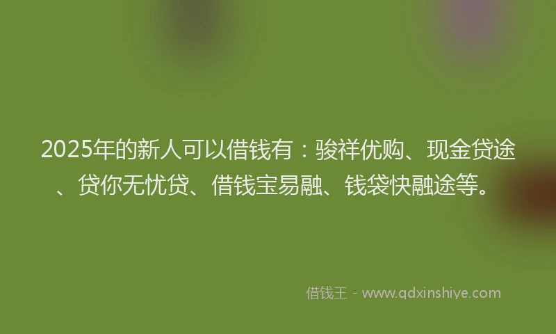 2025年的新人可以借钱有：骏祥优购、现金贷途、贷你无忧贷、借钱宝易融、钱袋快融途等。