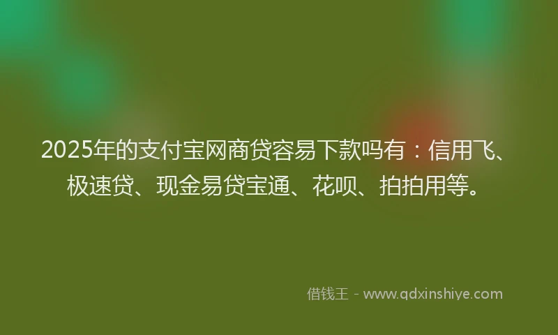 2025年的支付宝网商贷容易下款吗有：信用飞、极速贷、现金易贷宝通、花呗、拍拍用等。
