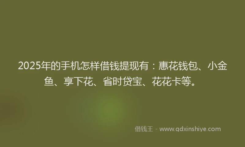 2025年的手机怎样借钱提现有：惠花钱包、小金鱼、享下花、省时贷宝、花花卡等。
