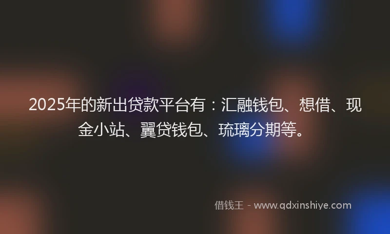 2025年的新出贷款平台有：汇融钱包、想借、现金小站、翼贷钱包、琉璃分期等。