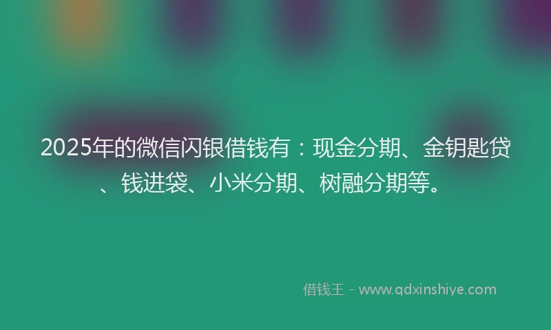 2025年的微信闪银借钱有：现金分期、金钥匙贷、钱进袋、小米分期、树融分期等。