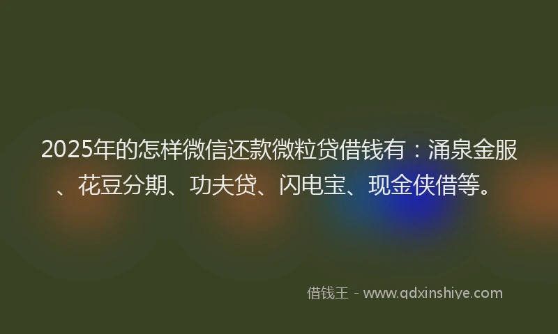 2025年的怎样微信还款微粒贷借钱有：涌泉金服、花豆分期、功夫贷、闪电宝、现金侠借等。