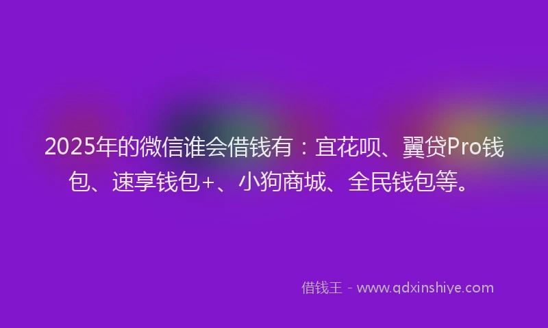 2025年的微信谁会借钱有：宜花呗、翼贷Pro钱包、速享钱包+、小狗商城、全民钱包等。