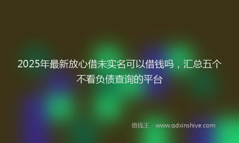 2025年最新放心借未实名可以借钱吗，汇总五个不看负债查询的平台