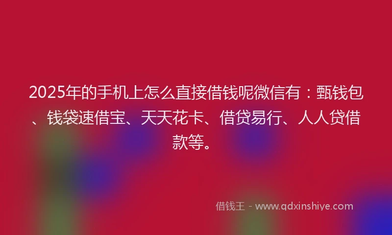 2025年的手机上怎么直接借钱呢微信有：甄钱包、钱袋速借宝、天天花卡、借贷易行、人人贷借款等。