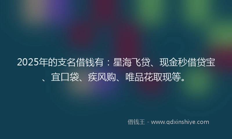 2025年的支名借钱有：星海飞贷、现金秒借贷宝、宜口袋、疾风购、唯品花取现等。