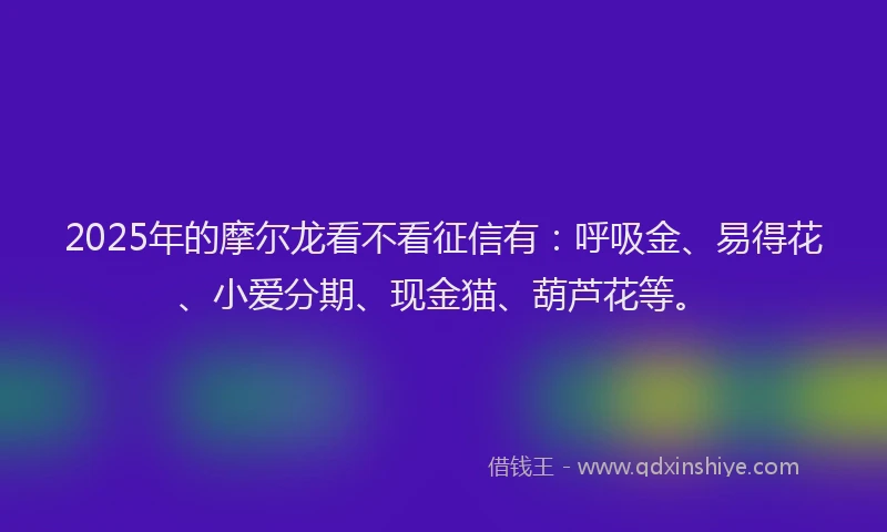 2025年的摩尔龙看不看征信有：呼吸金、易得花、小爱分期、现金猫、葫芦花等。
