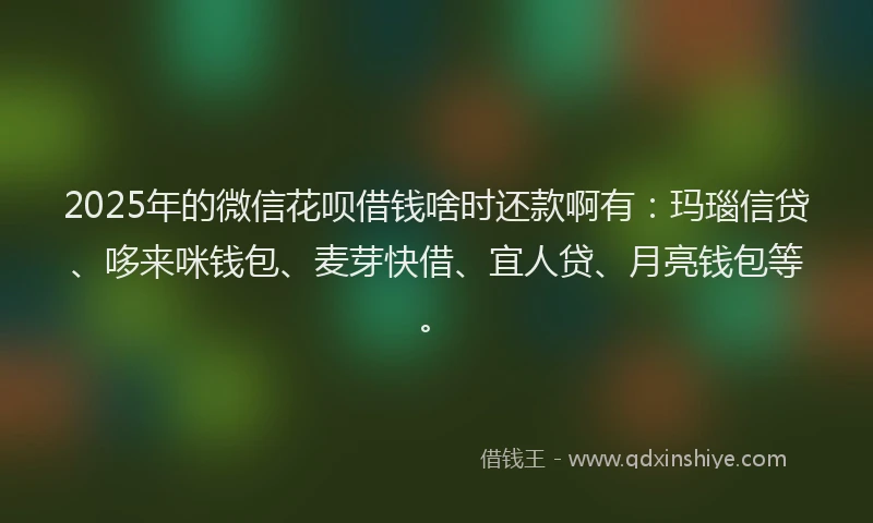 2025年的微信花呗借钱啥时还款啊有：玛瑙信贷、哆来咪钱包、麦芽快借、宜人贷、月亮钱包等。