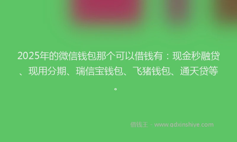 2025年的微信钱包那个可以借钱有：现金秒融贷、现用分期、瑞信宝钱包、飞猪钱包、通天贷等。