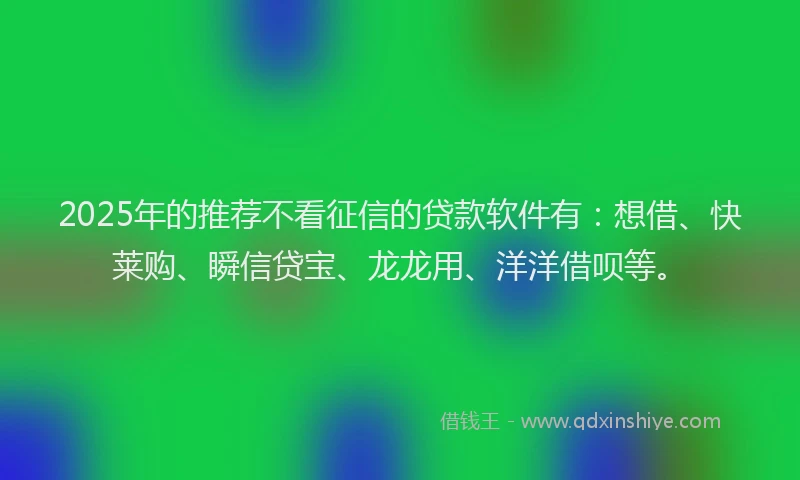 2025年的推荐不看征信的贷款软件有：想借、快莱购、瞬信贷宝、龙龙用、洋洋借呗等。