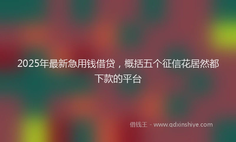 2025年最新急用钱借贷，概括五个征信花居然都下款的平台