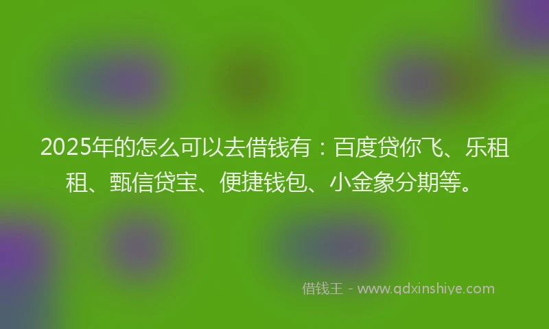 2025年的怎么可以去借钱有：百度贷你飞、乐租租、甄信贷宝、便捷钱包、小金象分期等。