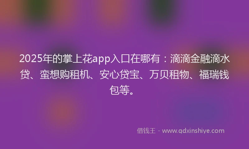 2025年的掌上花app入口在哪有：滴滴金融滴水贷、蛮想购租机、安心贷宝、万贝租物、福瑞钱包等。