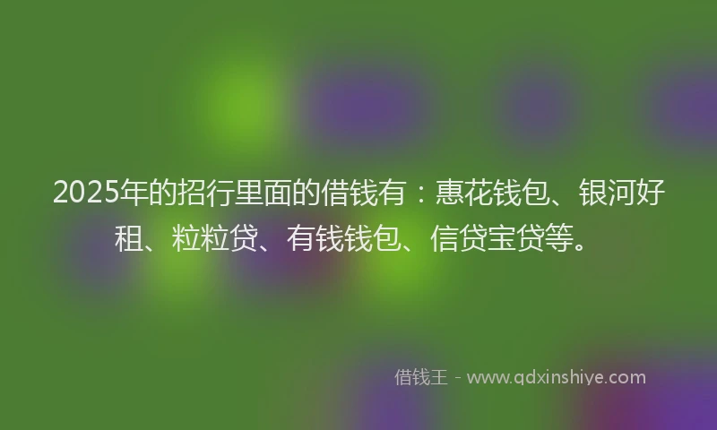 2025年的招行里面的借钱有：惠花钱包、银河好租、粒粒贷、有钱钱包、信贷宝贷等。