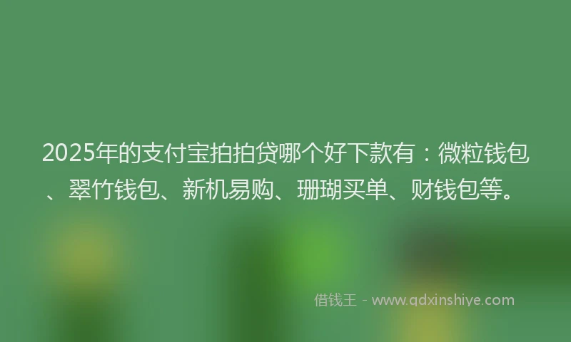 2025年的支付宝拍拍贷哪个好下款有：微粒钱包、翠竹钱包、新机易购、珊瑚买单、财钱包等。