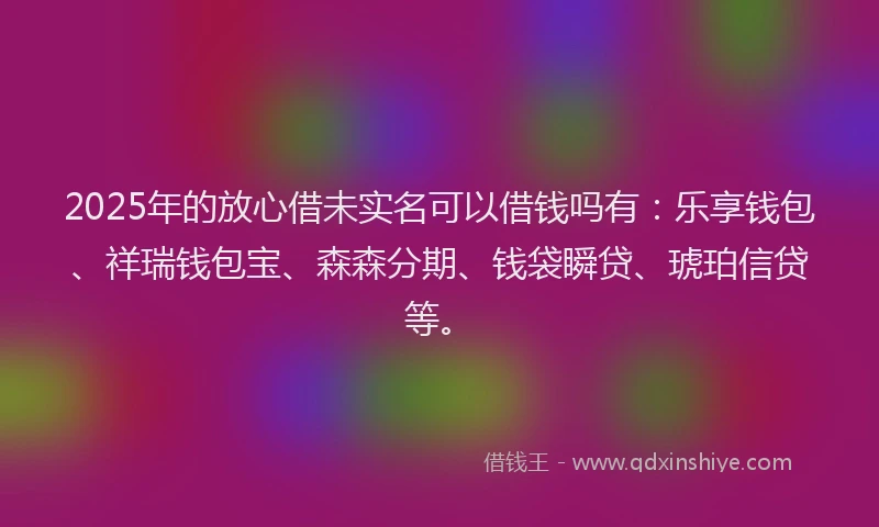 2025年的放心借未实名可以借钱吗有：乐享钱包、祥瑞钱包宝、森森分期、钱袋瞬贷、琥珀信贷等。