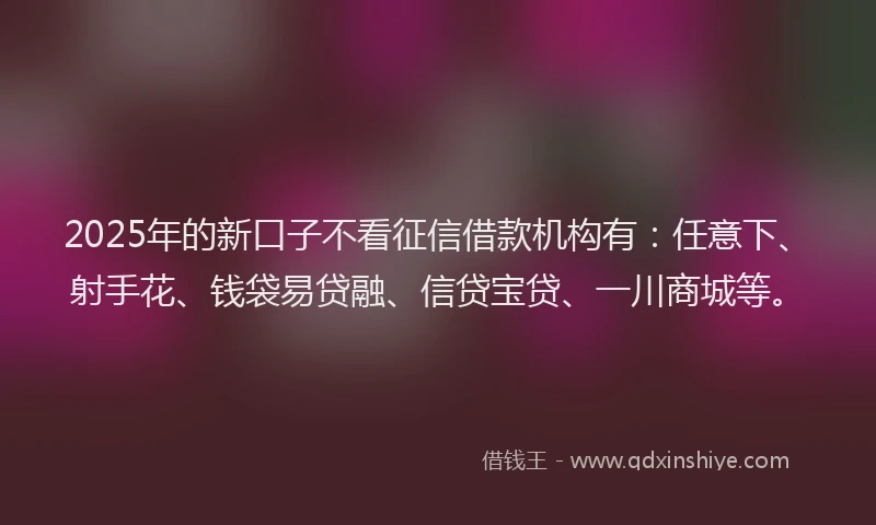 2025年的新口子不看征信借款机构有：任意下、射手花、钱袋易贷融、信贷宝贷、一川商城等。