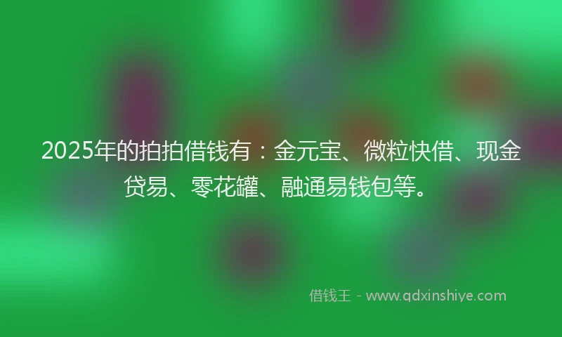 2025年的拍拍借钱有：金元宝、微粒快借、现金贷易、零花罐、融通易钱包等。